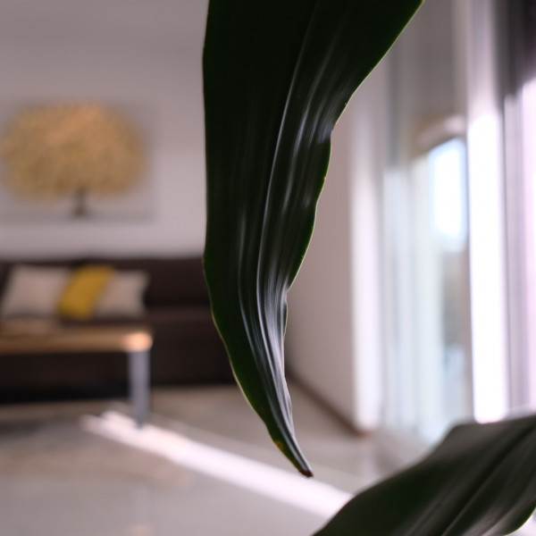 Living room, Holiday Apartments in Suko&scaron;an "Seaside Serenity", "Seaside Serenity" Apartments Suko&scaron;an