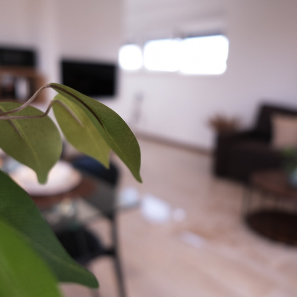 Living room, Holiday Apartments in Suko&scaron;an "Seaside Serenity", "Seaside Serenity" Apartments Suko&scaron;an