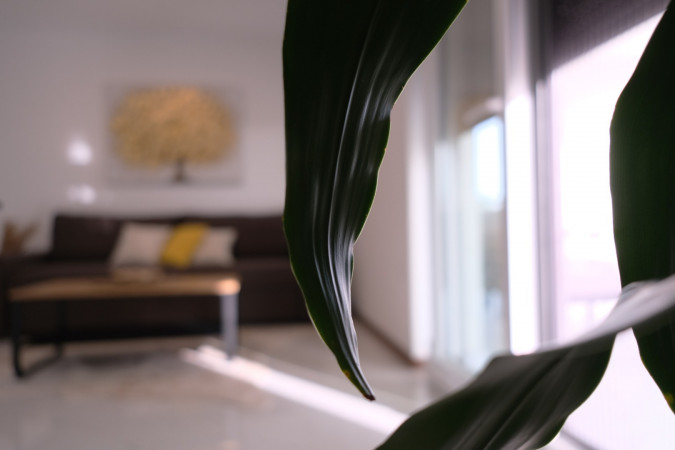 Apartment Sand, "Seaside Serenity" Apartments Suko&scaron;an