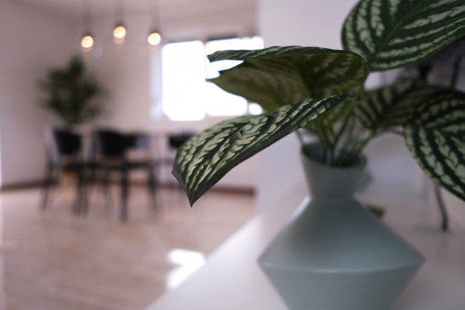 Apartment Earth, "Seaside Serenity" Apartments Suko&scaron;an